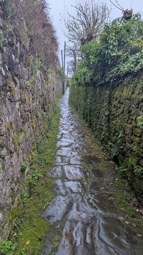 1000011688.jpg