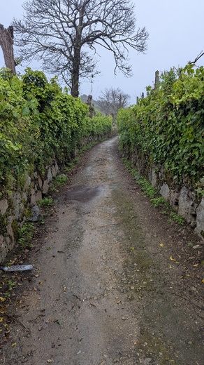 1000011700.jpg