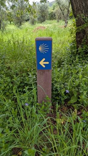 1000011723.jpg