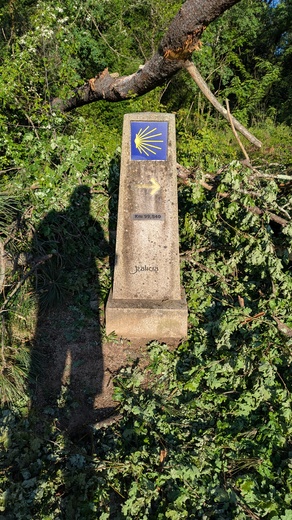 1000011836.jpg