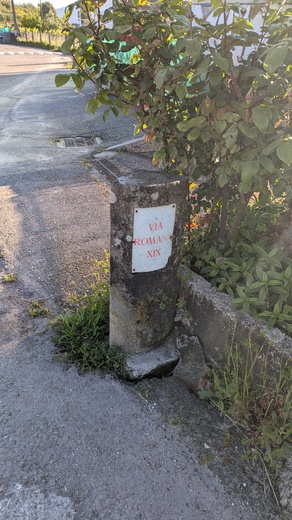1000011837.jpg