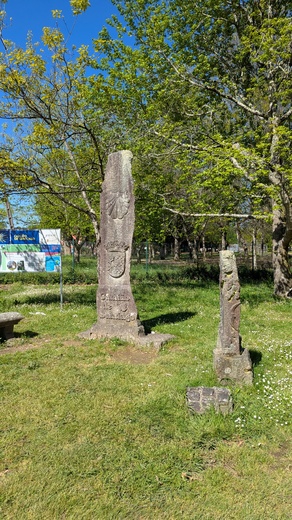 1000011838.jpg
