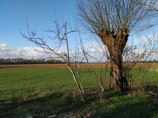 Rozjímání a příroda kolem nás