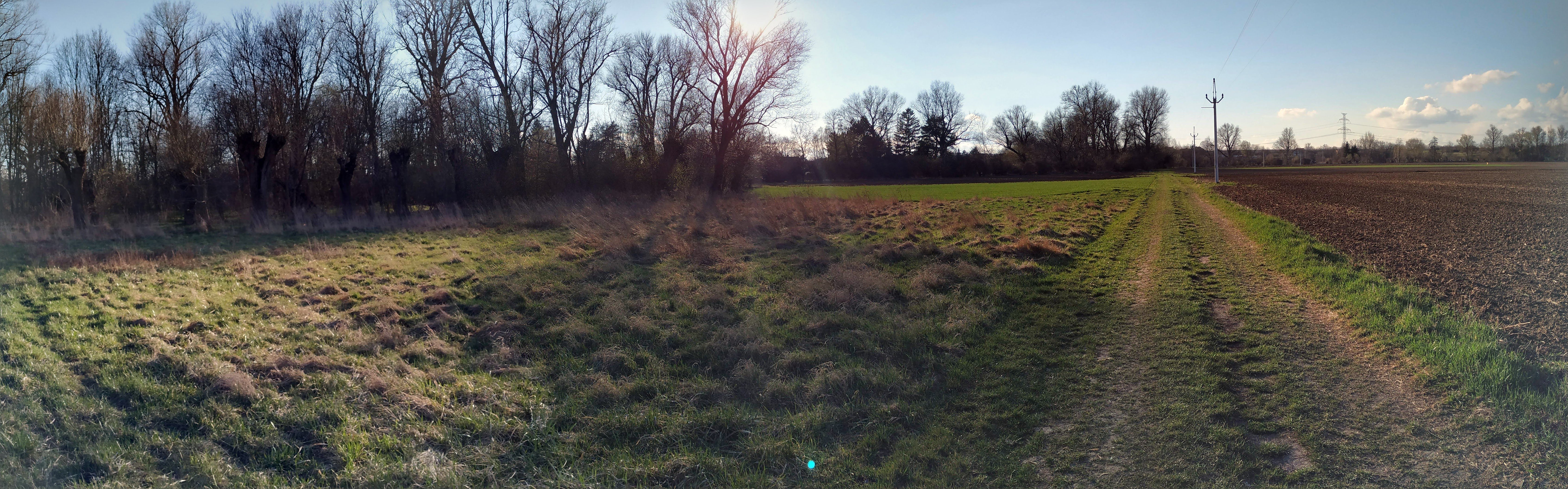 Pole panorama