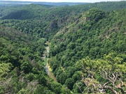 Oslava